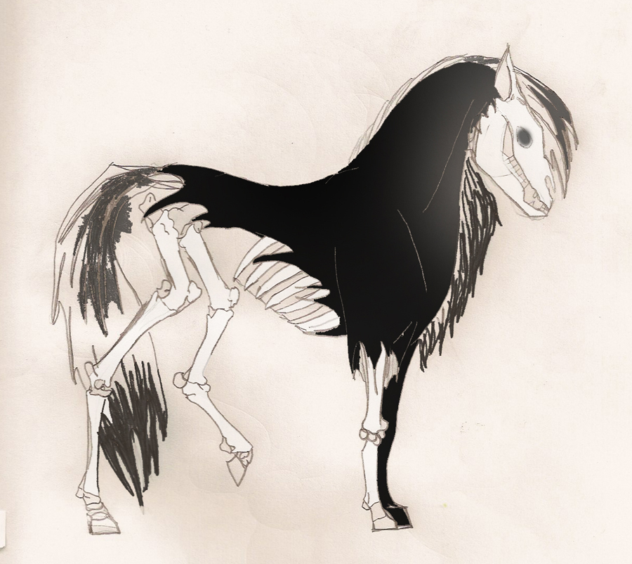 Skeleton Horse Tattoo Drawing