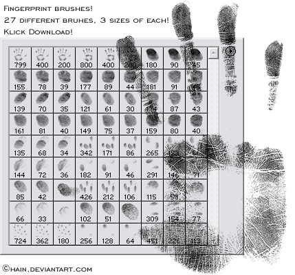 fingerprint_brushes_by_chain.png
