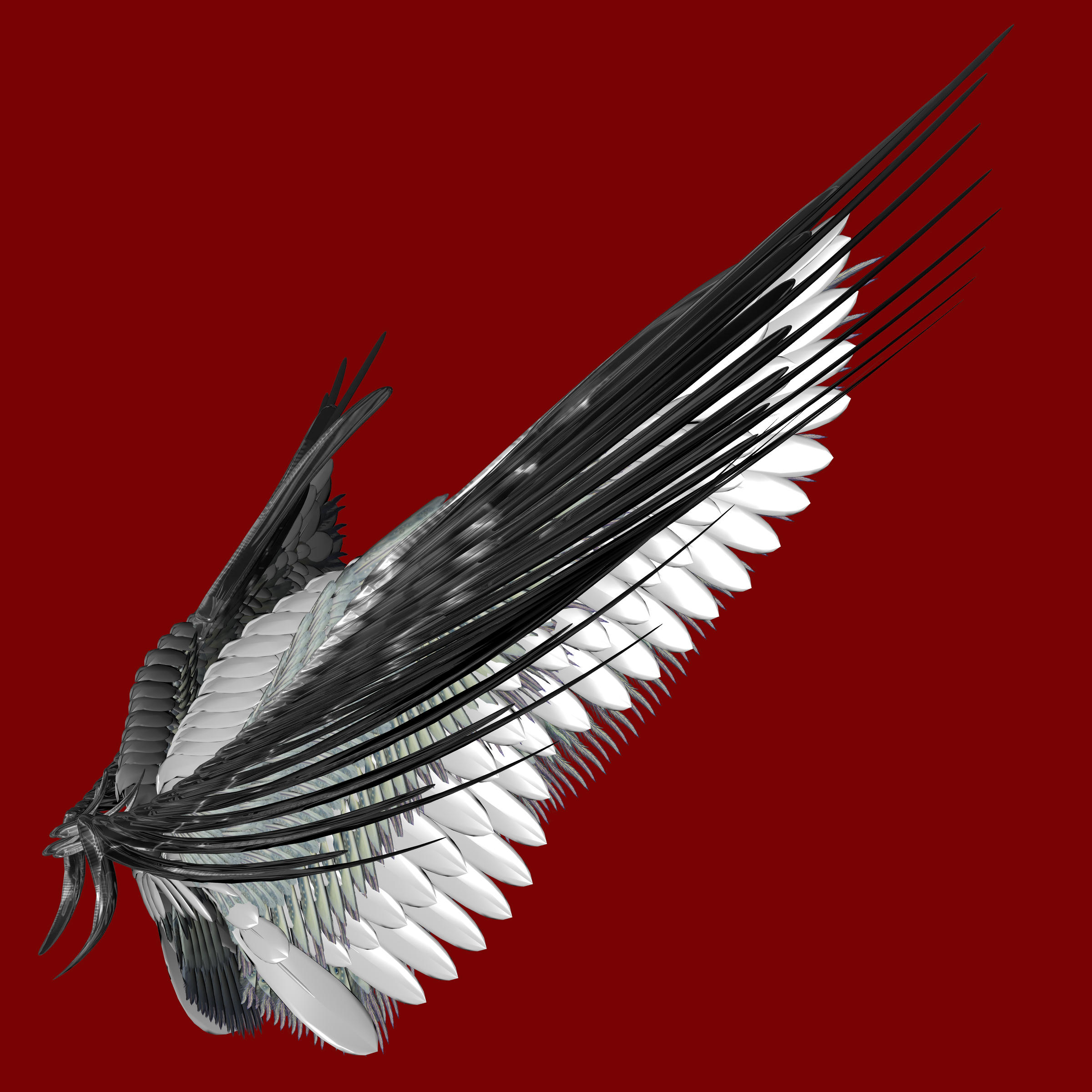 Wings Archangel by