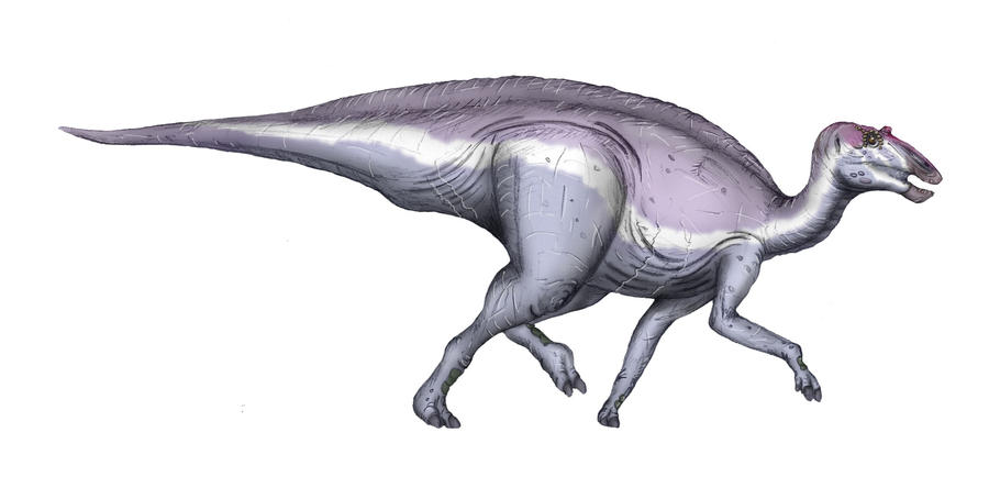 Secernosaurus koerneri by maniraptora