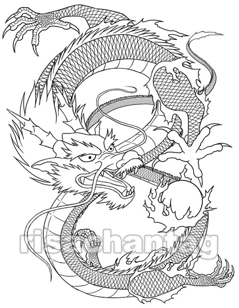 tiger dragon tattoo. The Chinese dragon has been a