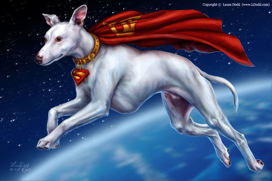 Superdog_by_ldiehl.jpg