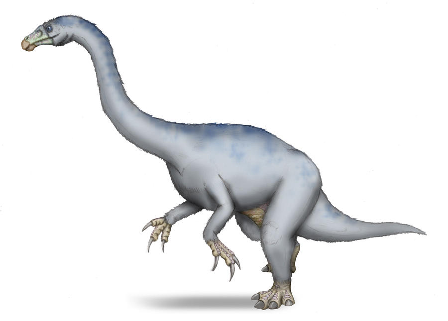 Neimongosaurus yangi by maniraptora