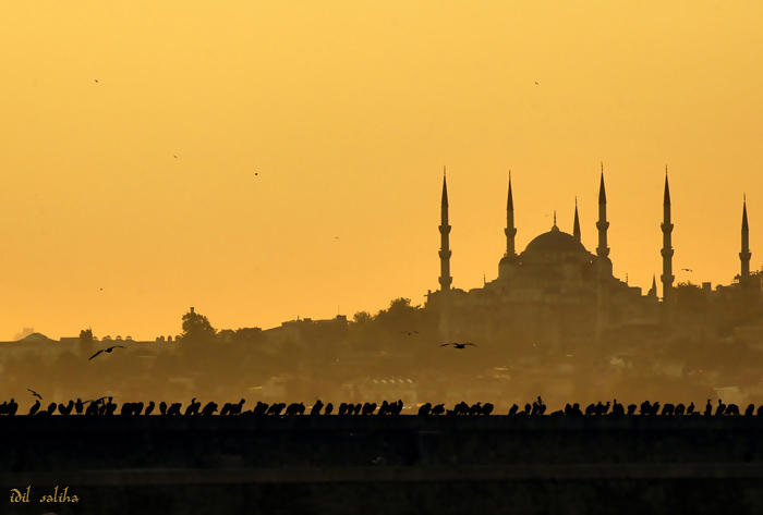 istanbul_by_kanikey.jpg