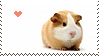 Guinea_Pig_Love_stamp_by_Animal_Stamp.gif