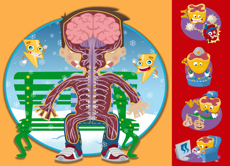 El sistema nervioso en dibujo para niños - Imagui