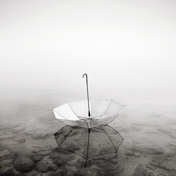 black and white umbrella photography. umbrella photography