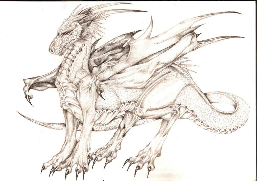DragonFull Body Dragon by LyrebirdJacki on DeviantArt
