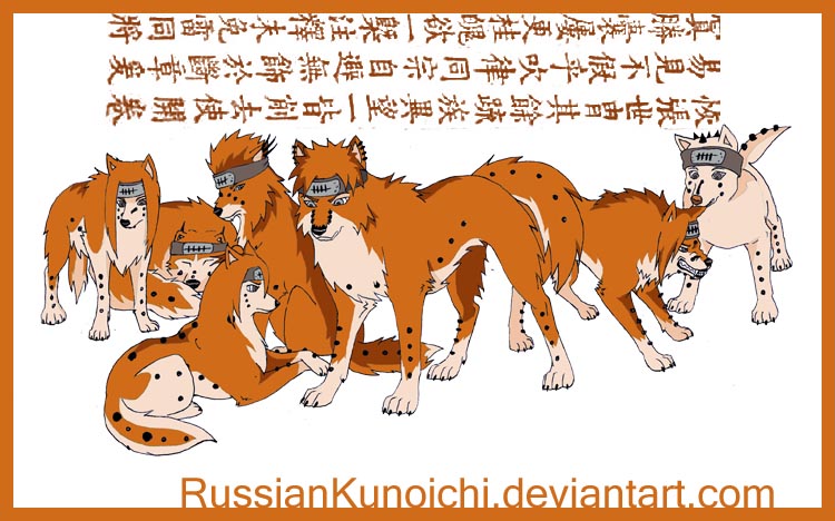 http://fc02.deviantart.net/fs31/f/2008/190/1/c/Seven_path_of_Pein_by_RussianKunoichi.jpg