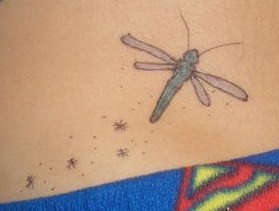 Dragonfly - dragonfly tattoo