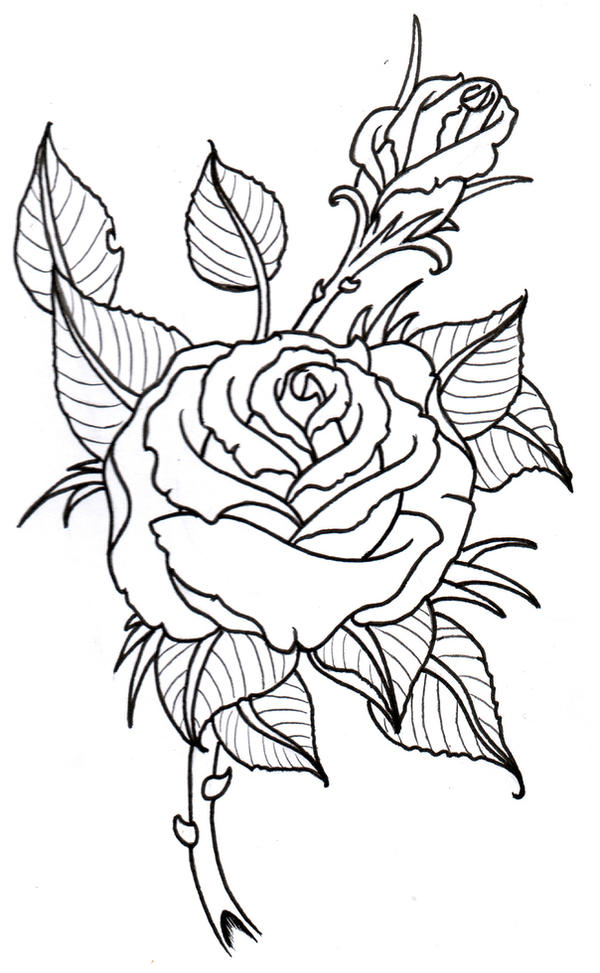 Rose Tattoo Design Picture 4