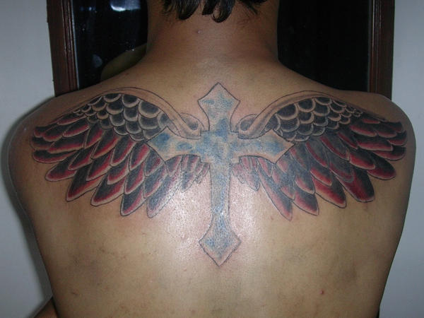 cross wings by projecthalo on