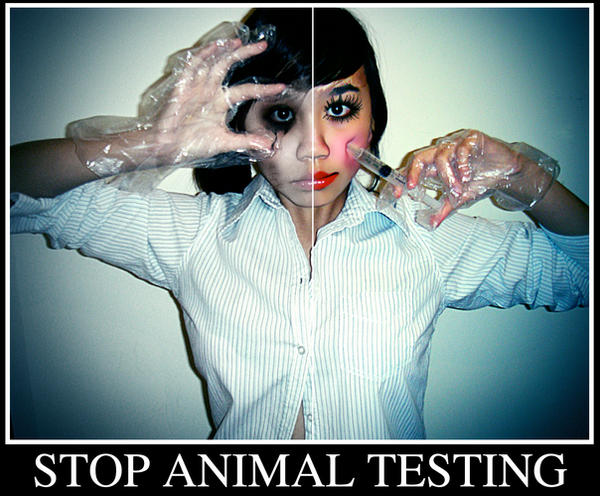 animal testing pictures. animal testing wrong