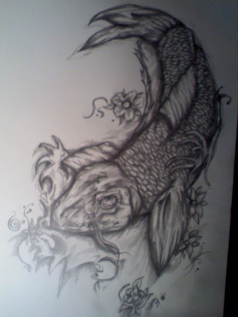 koi fish drawing. Koi Fish Drawing by