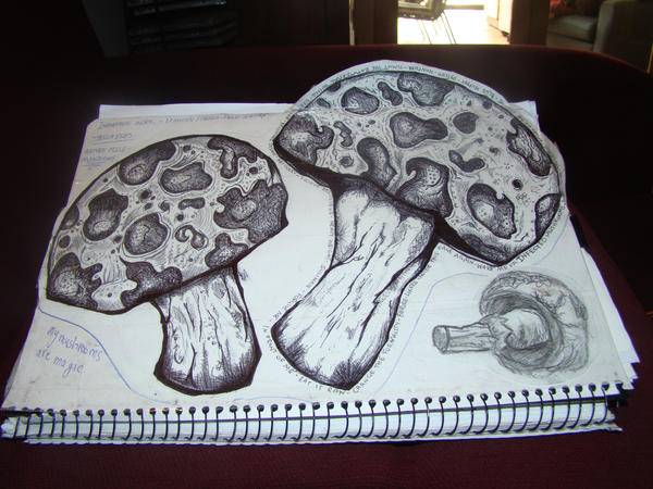 Infected Mushrooms by ~x-Bonnie-x on deviantART