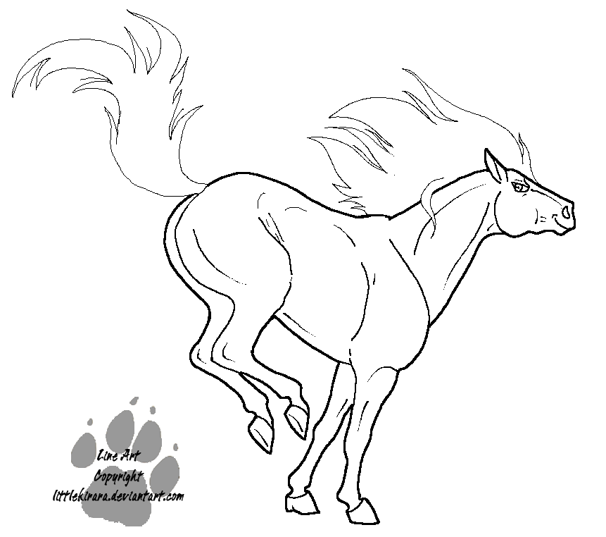 Bucking Horse Coloring Coloring Pages