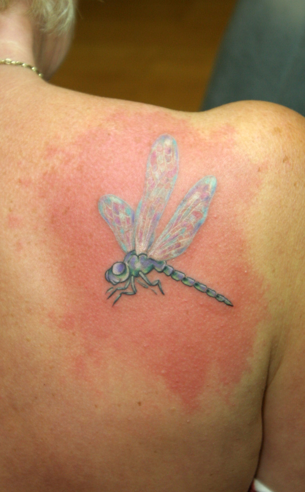 tommicrazy 149 - dragonfly tattoo