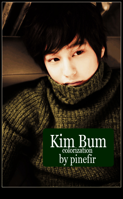      Kim Bum,