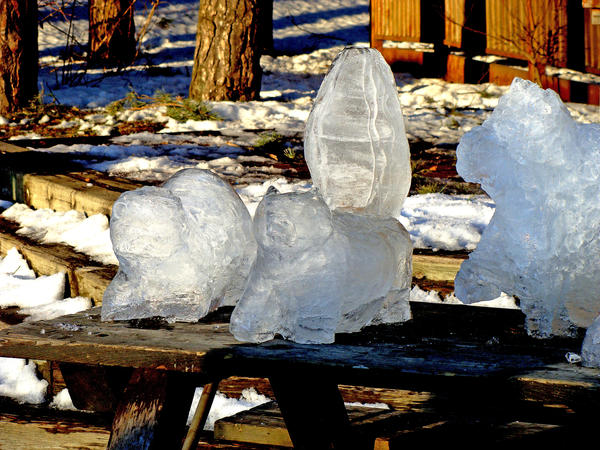 Ice Sculptures by crimecouncil