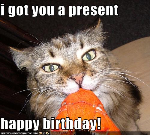 birthday_cat_by_archenemies32.jpg