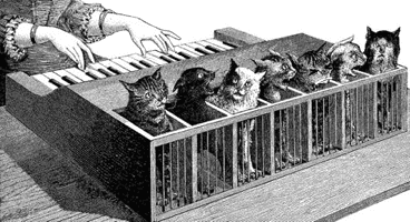 cat_piano_GIFimage_by_havocPigeons.gif