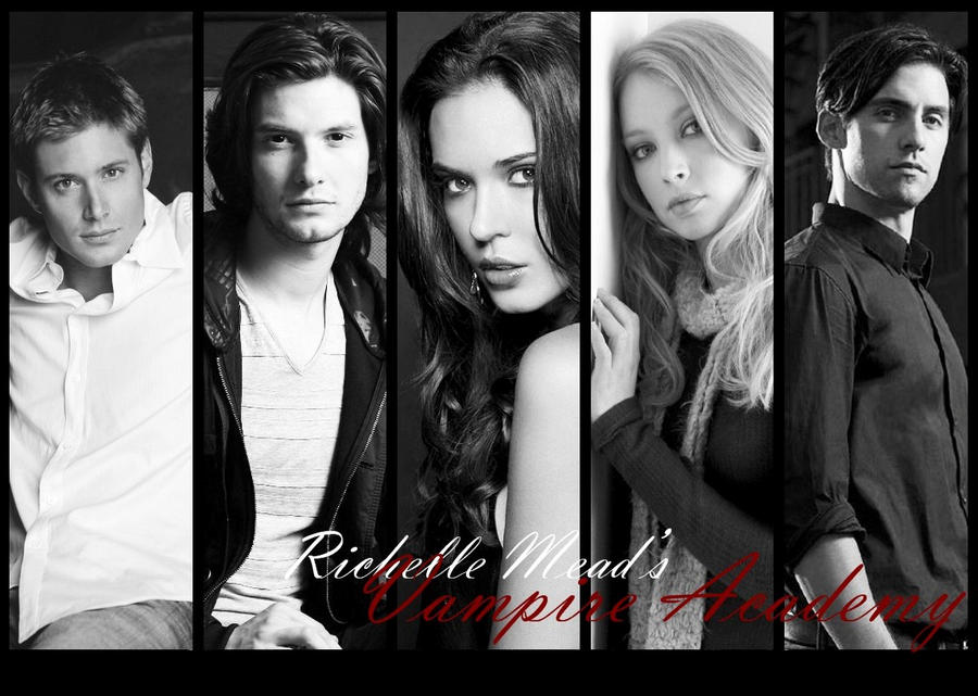 Vampire Academy Dimitri And Rose. Vampire Academy by ~Synessa on