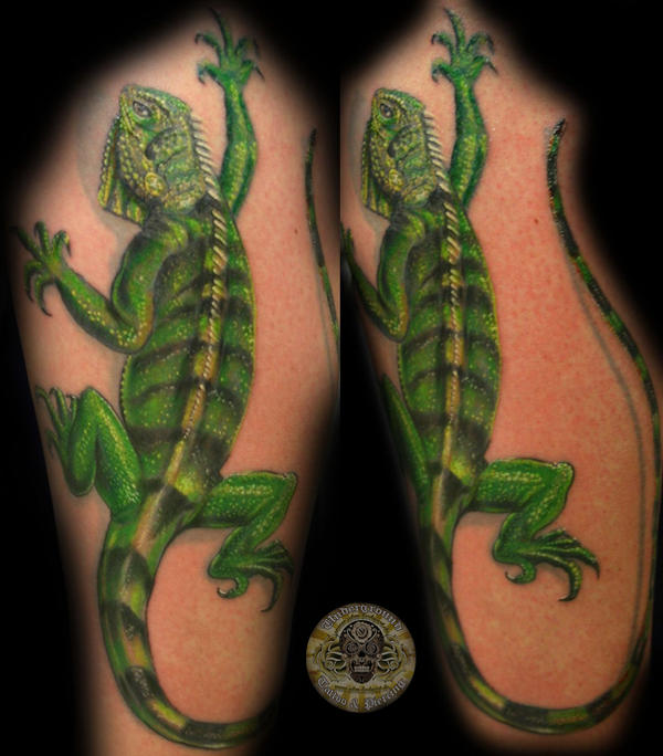 Iguana Big Tattoo Color by