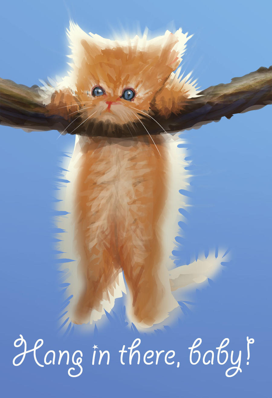 hang in there cat clipart - photo #39