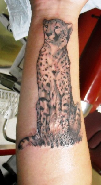 Cheetah Tattoo Designs Once common in Europe, North USA and Asia,
