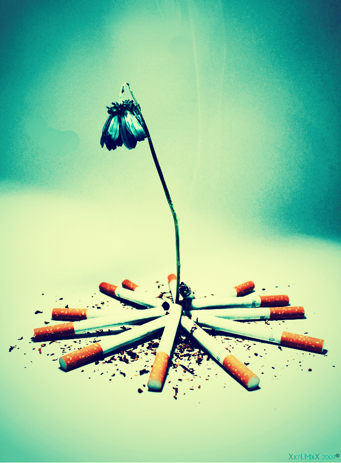 Smoking_kills_slowly_2_by_7LM.jpg