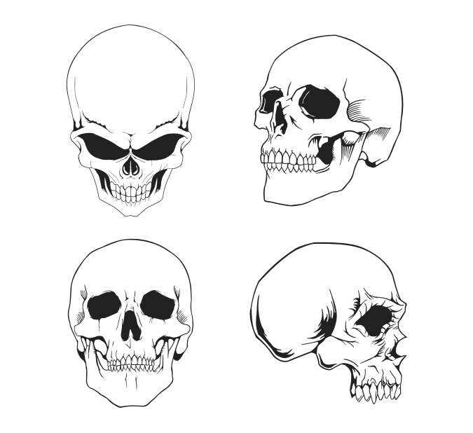 skull clipart free download - photo #23