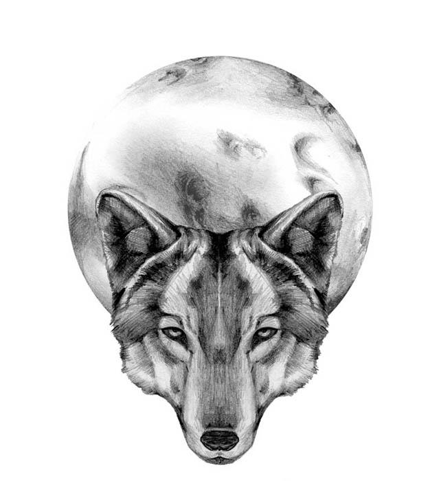 werewolf tattoo. wolf tattoo