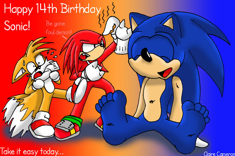 Happy_14th_Birthday_Sonic_by_Vixen_T_Fox.jpg