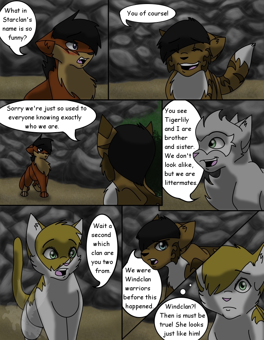 The_New_Clans_Page_19_by_Forever_Ebonycloud.jpg