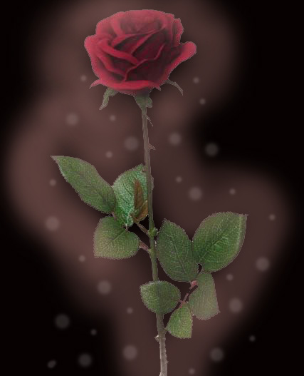 beauty and beast rose. Beauty and the Beast Rose by ~jr2496 on deviantART