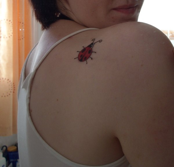 Ladybug Tattoo by Filsleybug on deviantART