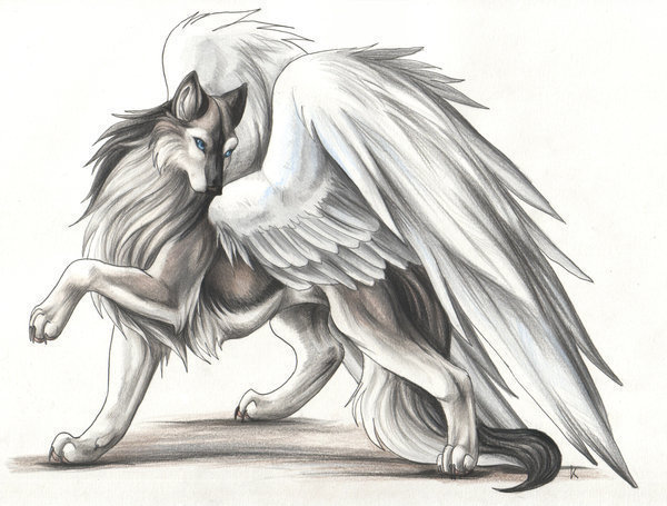 Winged Wolf by BeeJayKim on DeviantArt