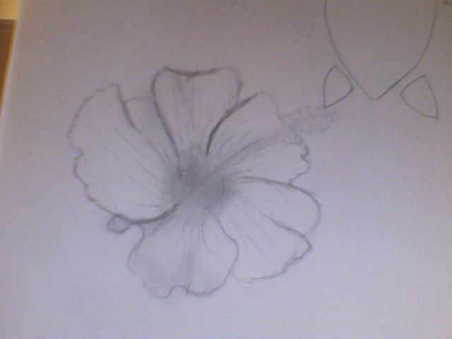 Hawaiian flower drawing by hpabrasion on deviantART