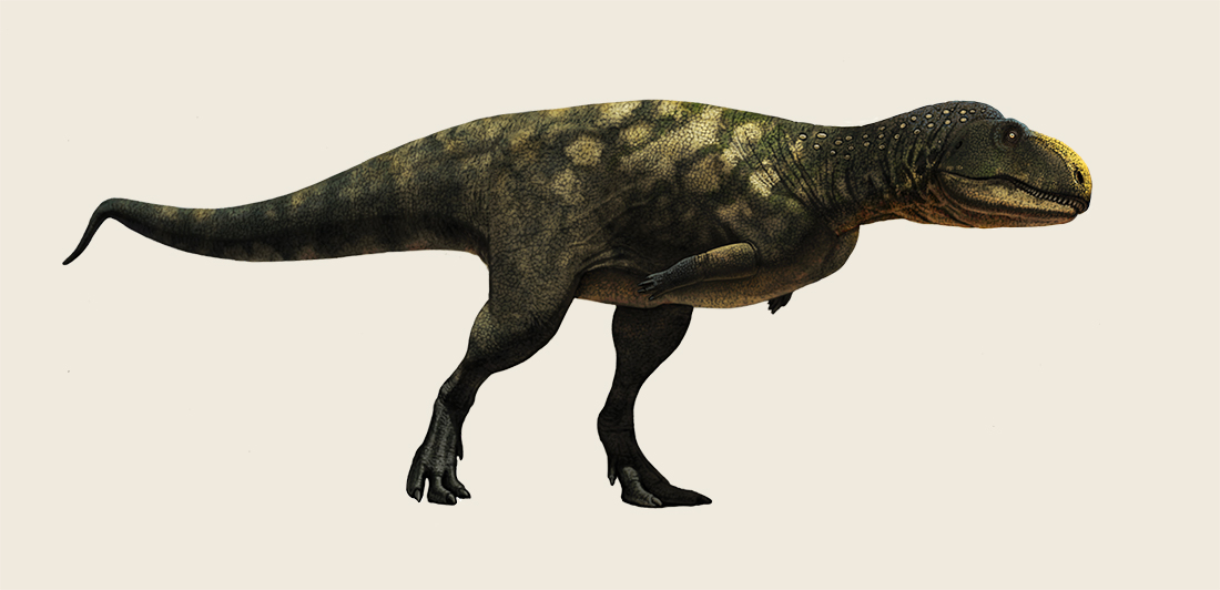 eoabelisaurus_by_olorotitan-d519lov.jpg