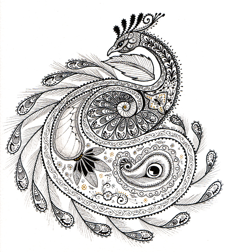 paisley peacock coloring pages - photo #5