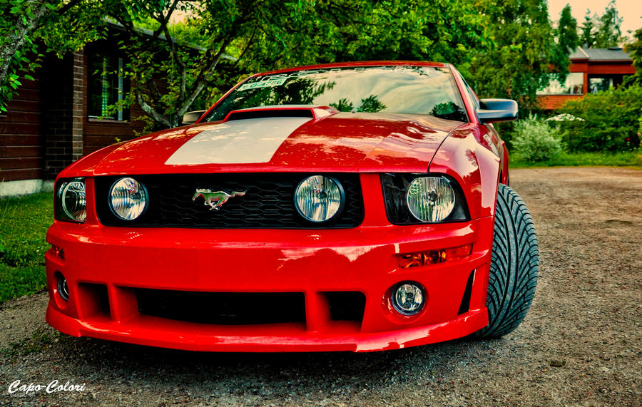 Mustang by CapoColori For Full Size Click Download Mustang Wallpaper HD 