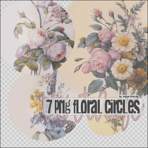 7 Png Floral Circles by mylightbluesky