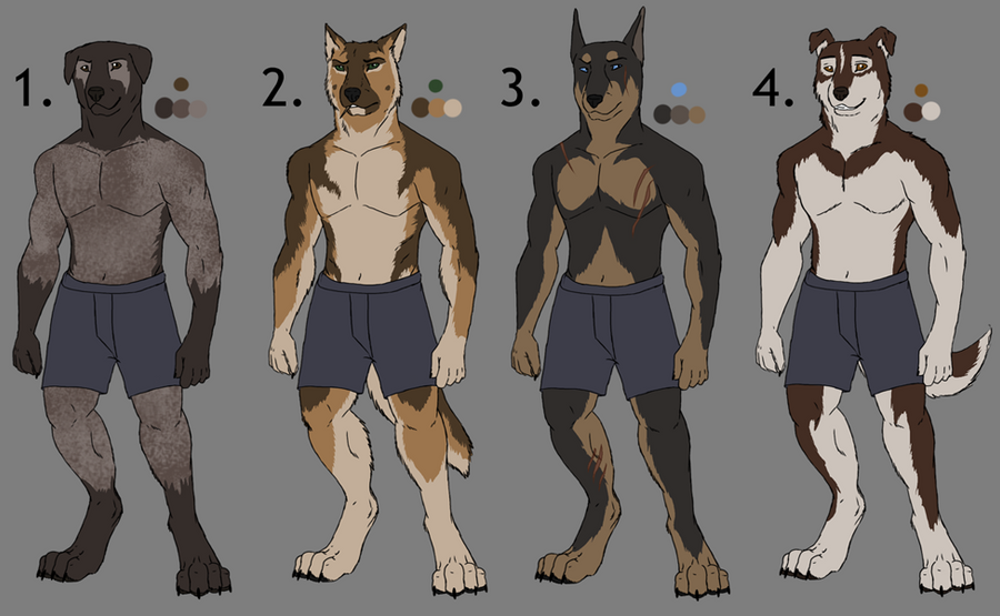 anthro_dog_point_adoptables_by_narutofreak123-d2zjtc1.png