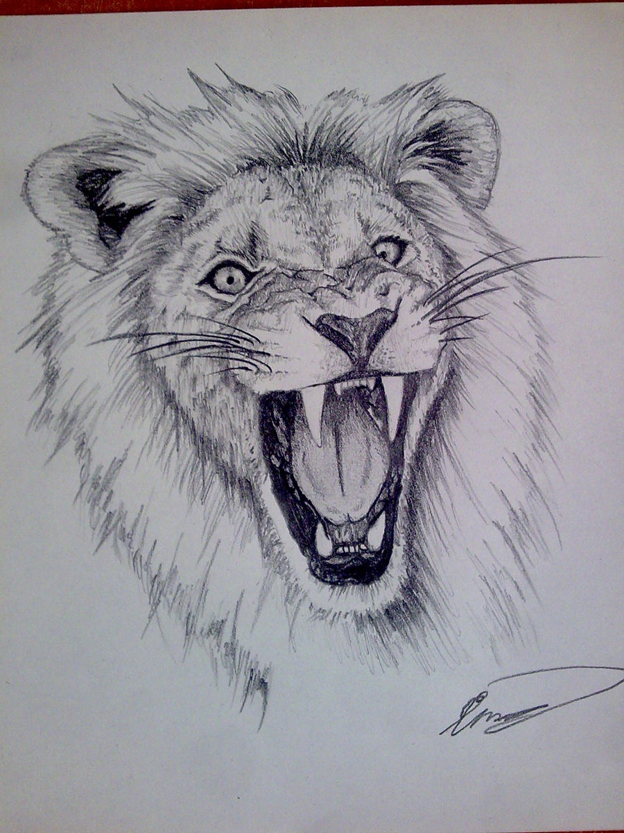 lion___pencil_by_cleefard d3000k7