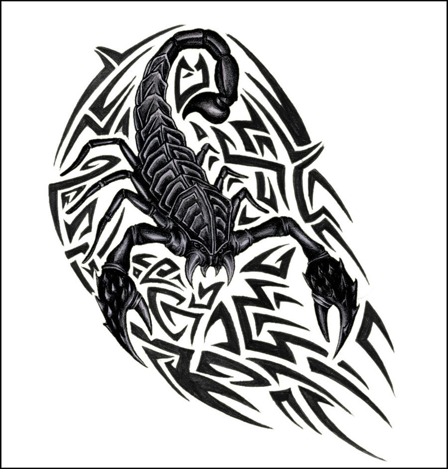 Scorpion With Tribal By