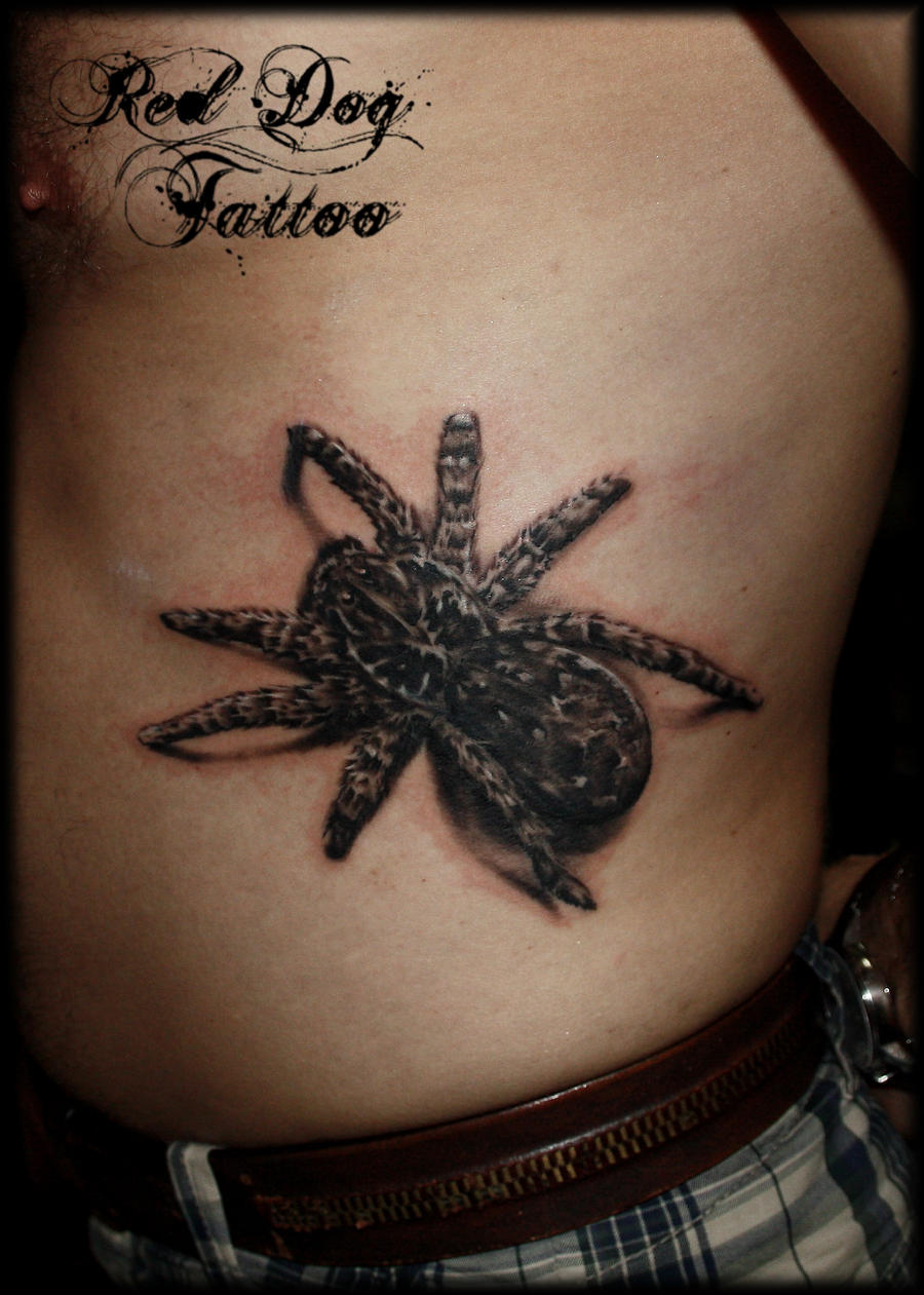 Spider Tattoo by Reddogtattoo
