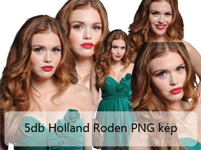 http://fc02.deviantart.net/fs70/i/2012/218/4/e/5_pieces_holland_roden_png_pictures_by_sophiedesign01-d5a11y1.jpg