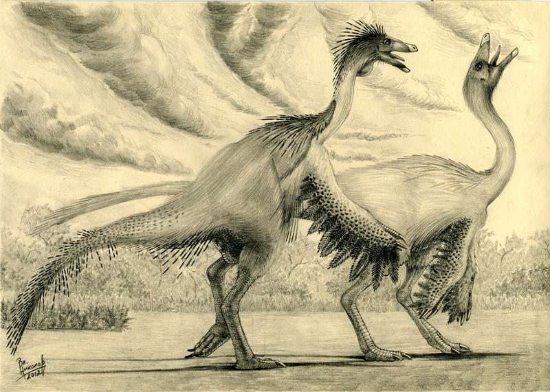 Ornithomimus edmontonicus by T-PEKC