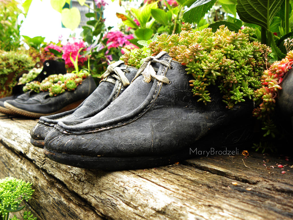 old_shoes_by_marybrodzeli-d6ce87p.jpg