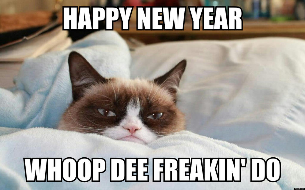 http://fc02.deviantart.net/fs70/i/2013/365/6/a/the_grumpy_cat__happy_new_year_____d_by_cartoonrockfan93-d709aa5.jpg